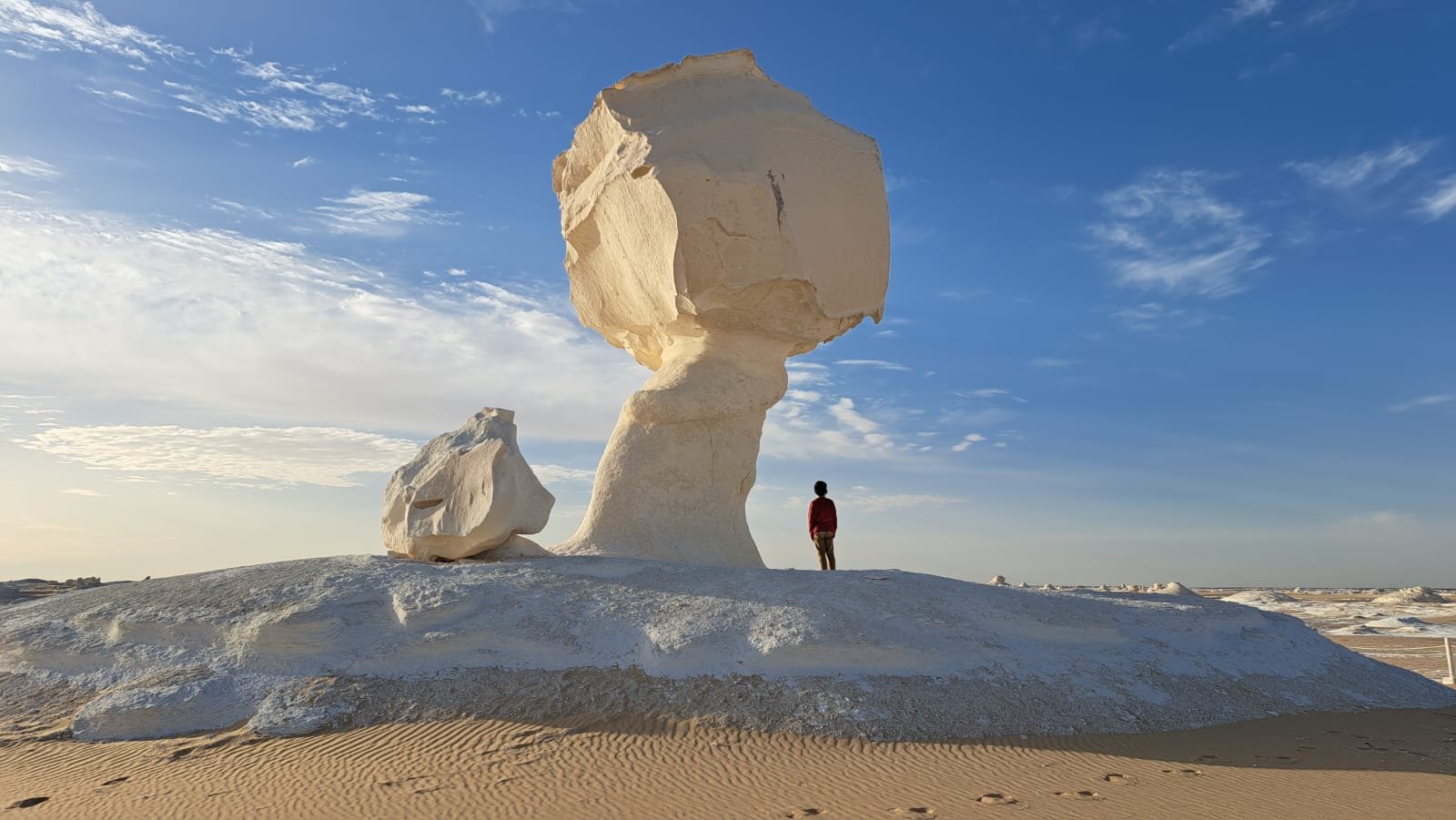 صورة مصغرة 3