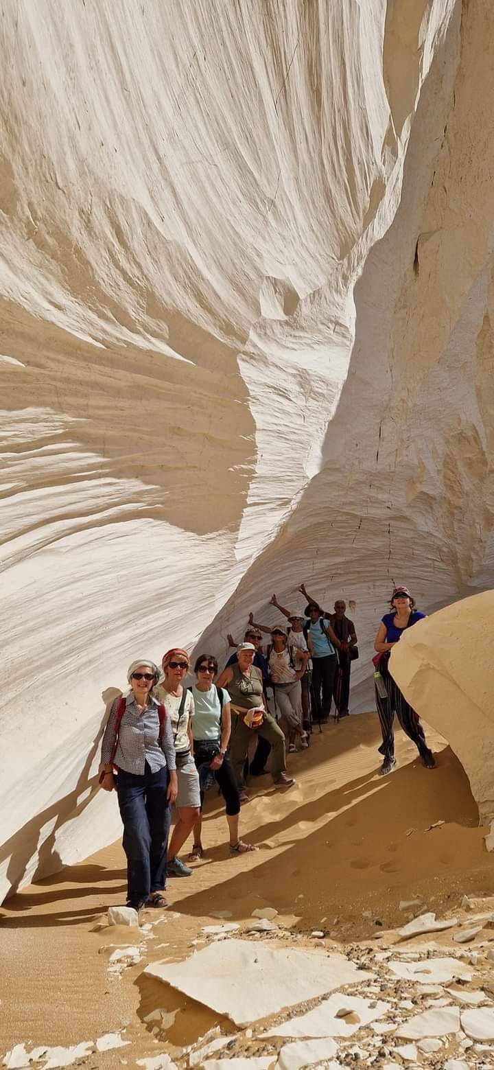 صورة مصغرة 2