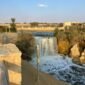 Fayoum Oasis