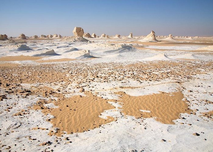 صورة مصغرة 5