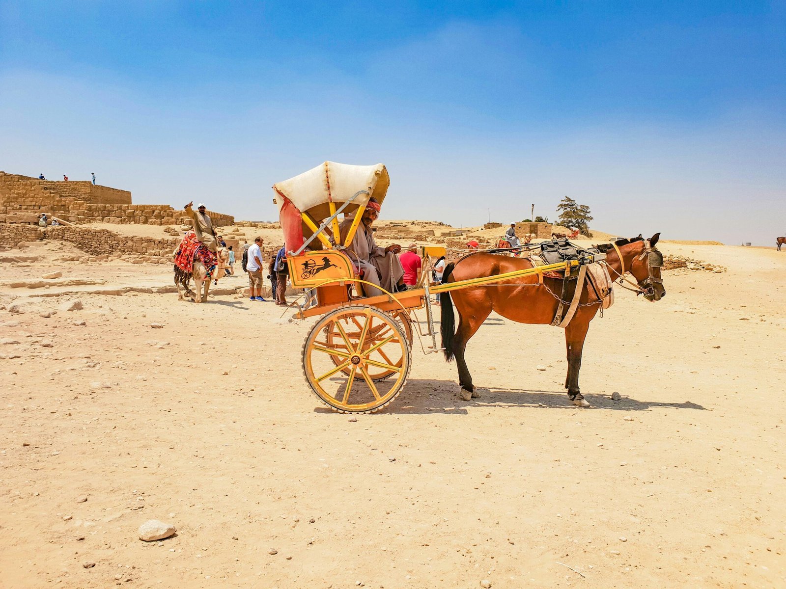 صورة مصغرة 4