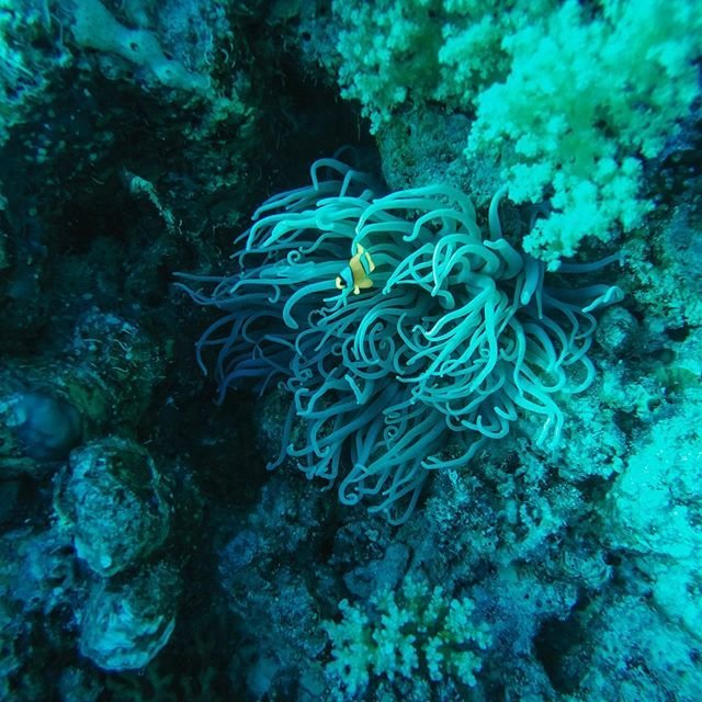 صورة مصغرة 4