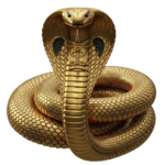 Cobra removebg preview