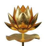 Lotus removebg preview