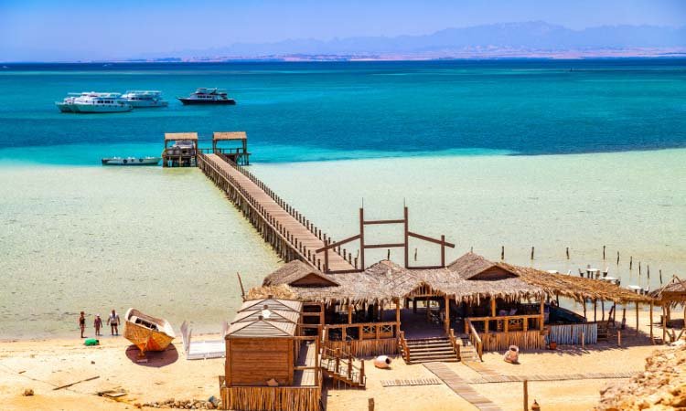 صورة مصغرة 1