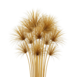 Papyrus removebg preview