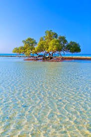 صورة مصغرة 5