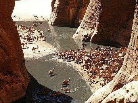 صورة مصغرة 1