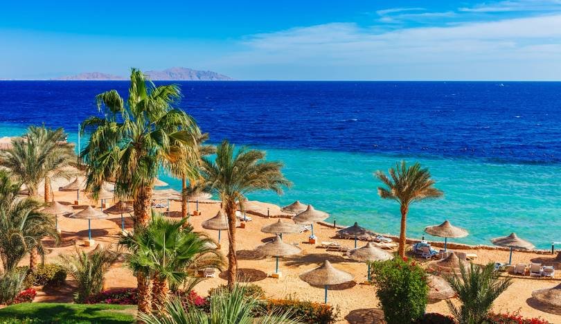 صورة مصغرة 1