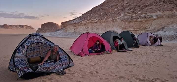 صورة مصغرة 2