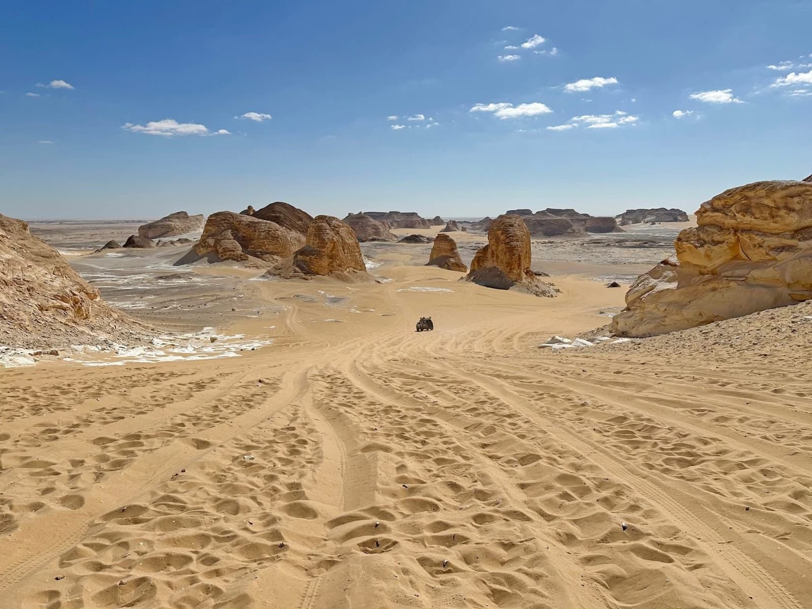 صورة مصغرة 2